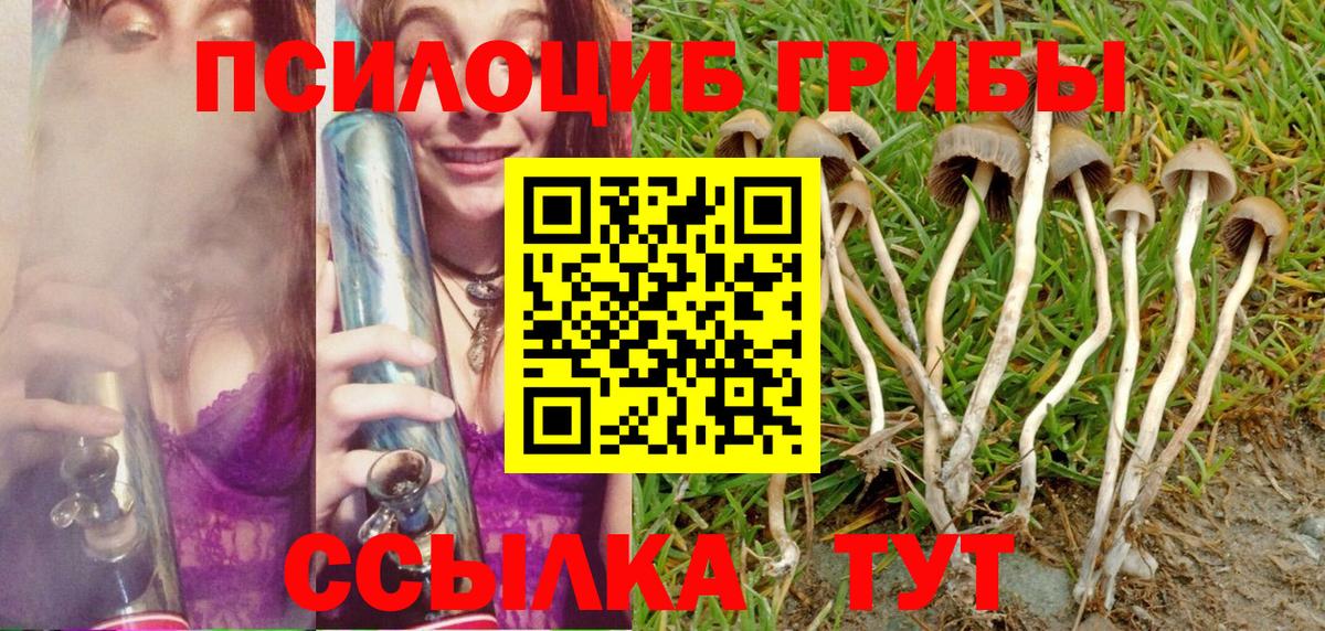 Псилоцибиновые грибы GOLDEN TEACHER  закладки  Тында  Вход с VPN 