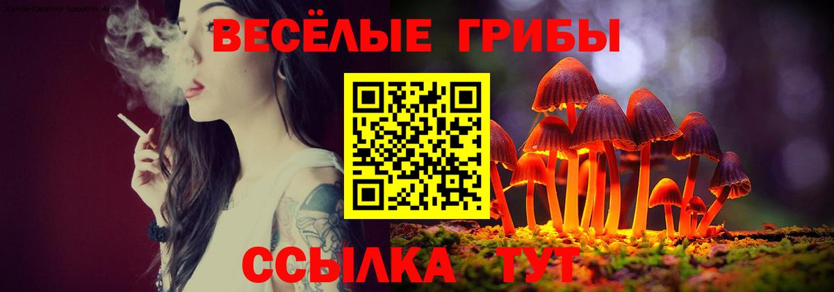 Галлюциногенные грибы Magic Shrooms Тында
